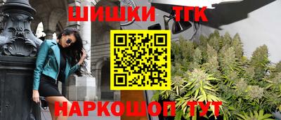 стафф Лесосибирск