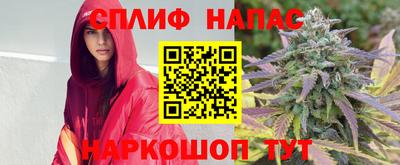 стафф Лесосибирск