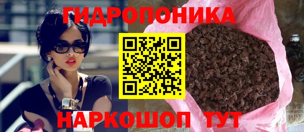 Шишки марихуана семена Грозный